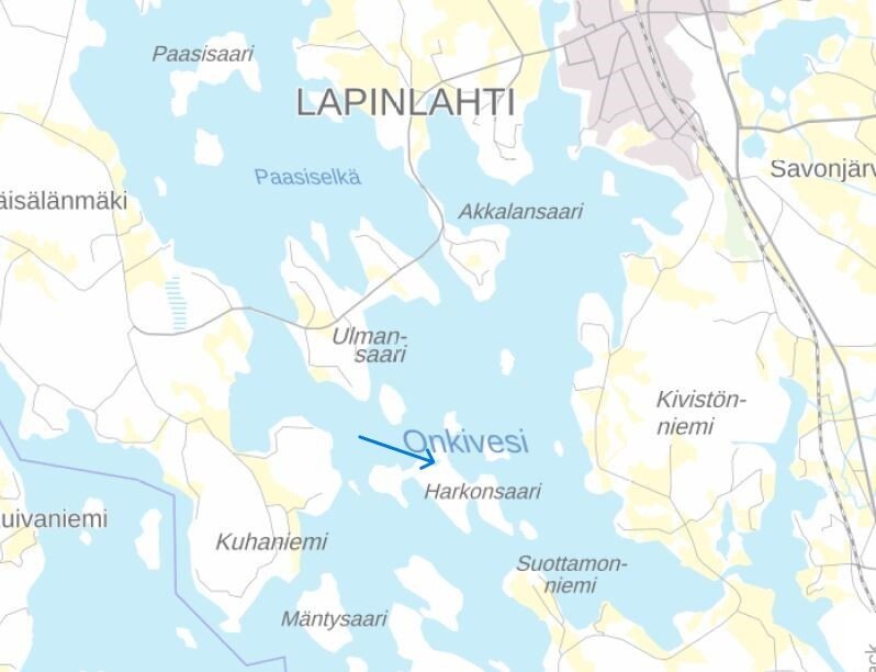 Harkonsaari , Lapinlahti