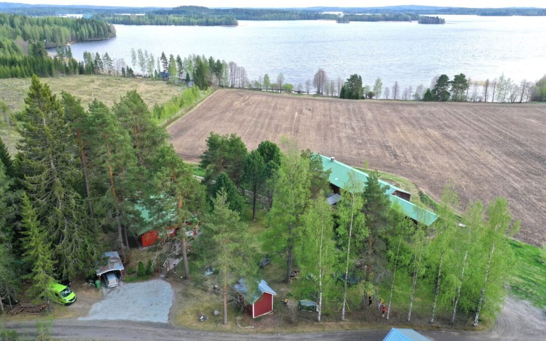 Vihtaniementie 50 , Lapinlahti