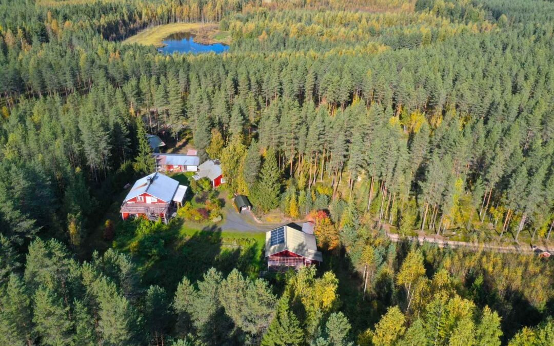 Tuomiharjuntie 11 , Lapinlahti