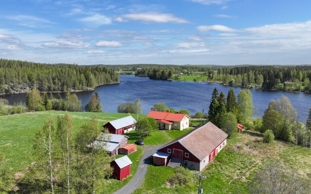 Ryönäntie 140, Lapinlahti