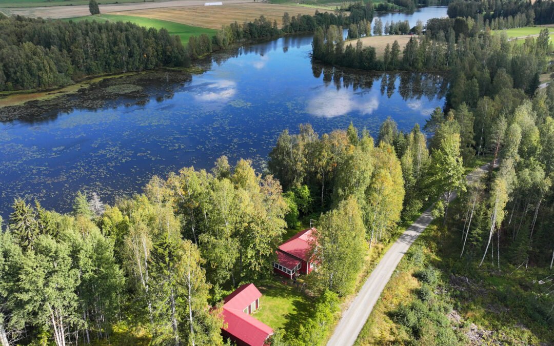 Mikantie 163 , Lapinlahti