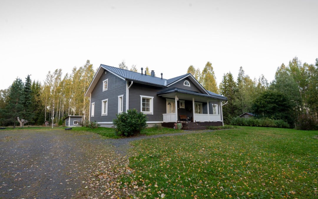 Vuorisentie 955 , Lapinlahti