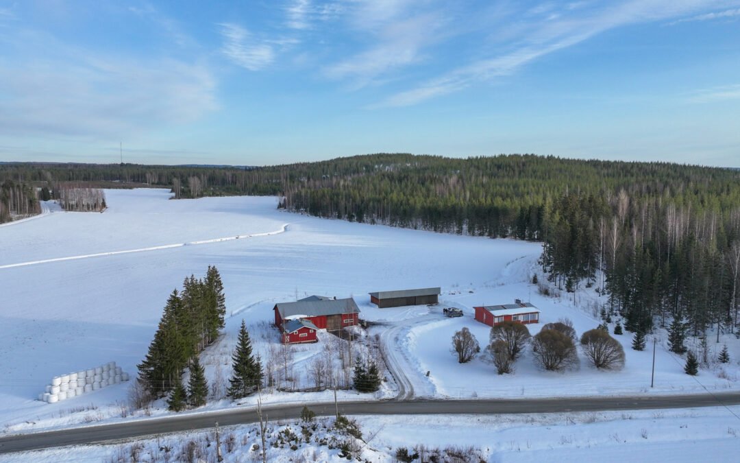 Kivistöntie 412 , Lapinlahti