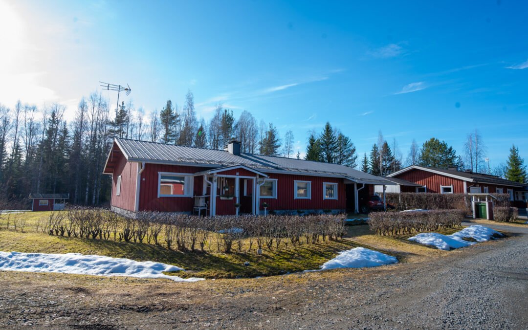 Niittokuja 12 , Lapinlahti