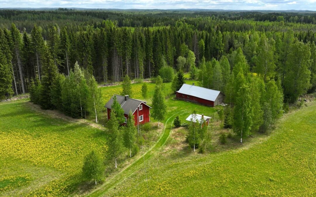 Kylmämäentie , Lapinlahti