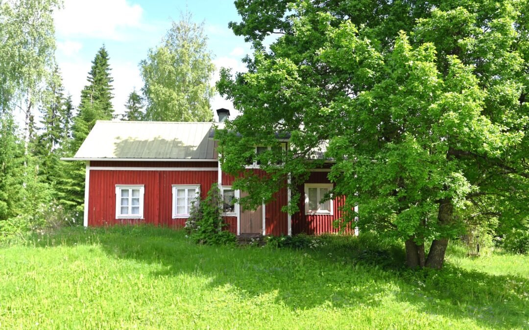 Pitkämäentie 829 , Lapinlahti