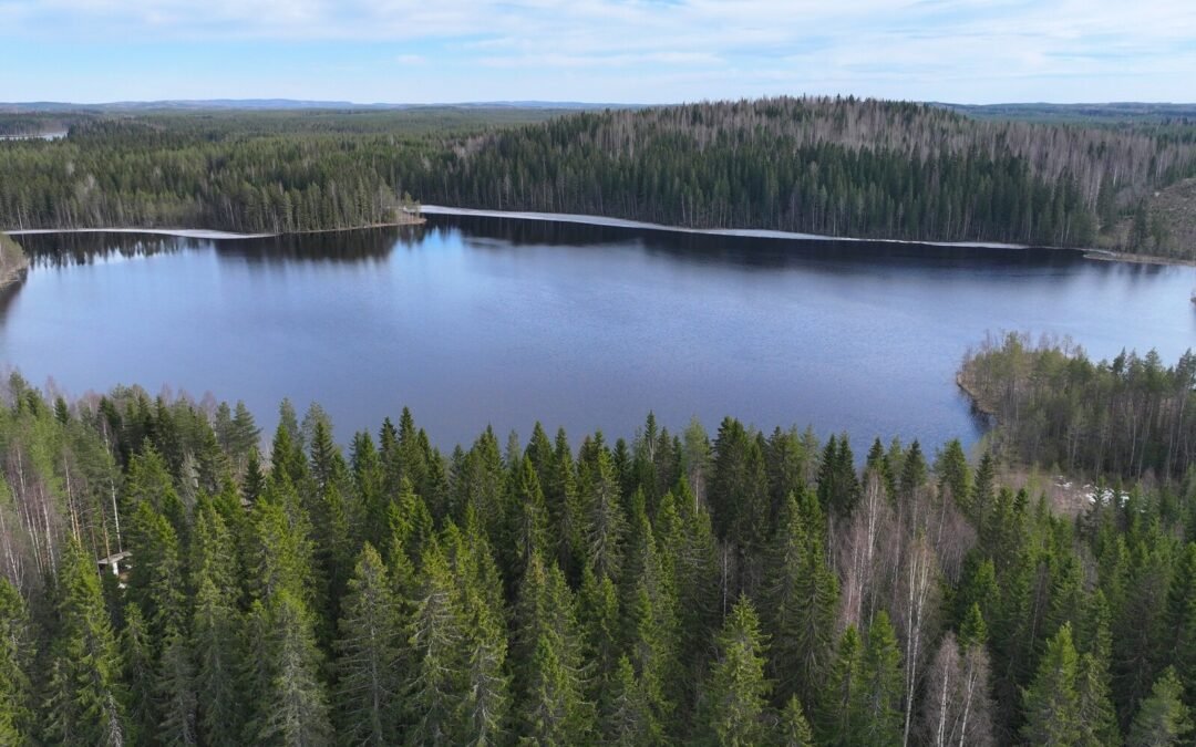 Paisuantie 75 a , Lapinlahti