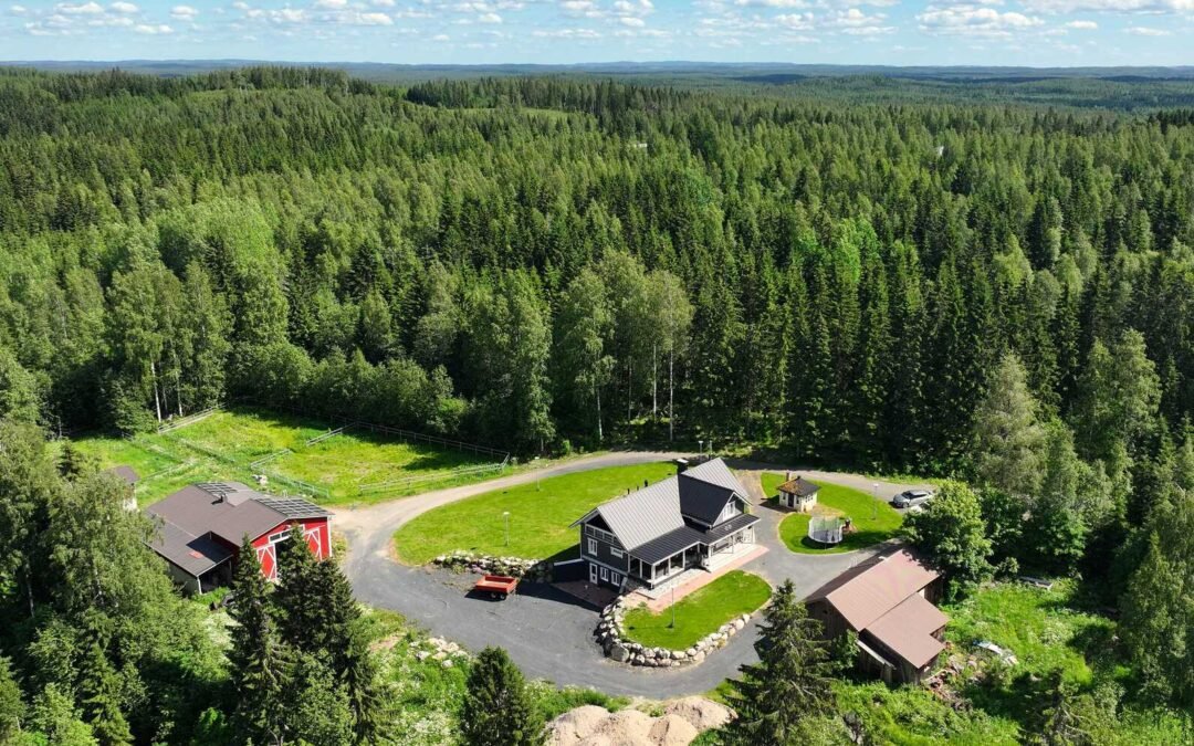 Ryynälänmäentie 263 , Lapinlahti