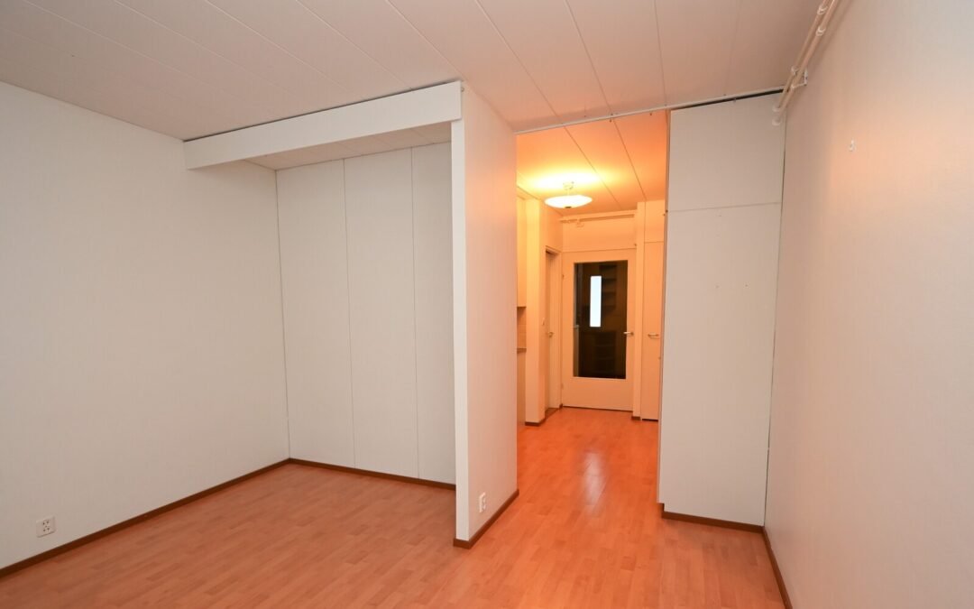 Portaanpääntie 24, Lapinlahti