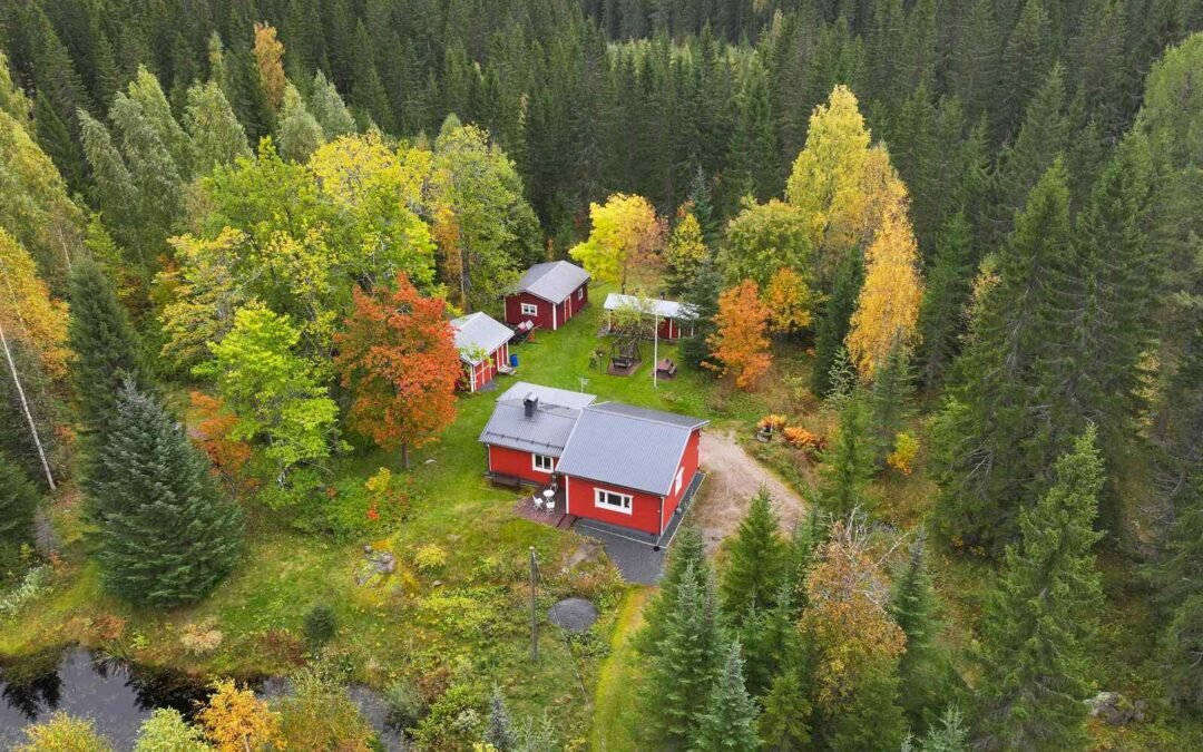 Paisuantie 557 , Lapinlahti